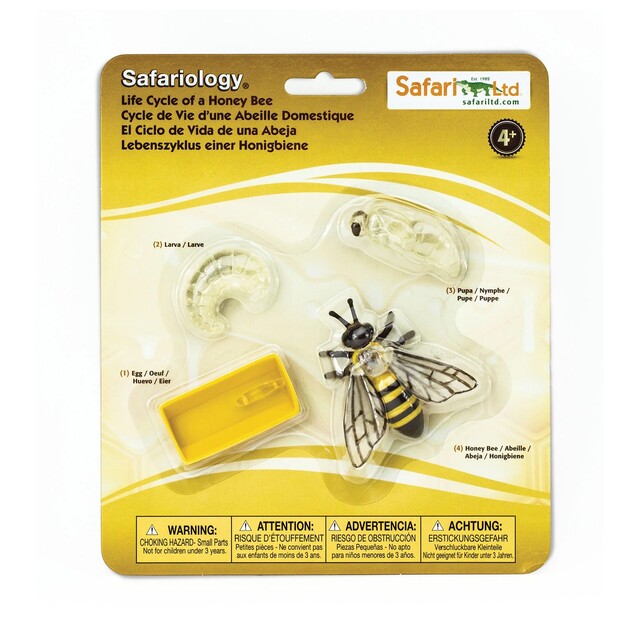 Safari® Životný cyklus včely medonosnej