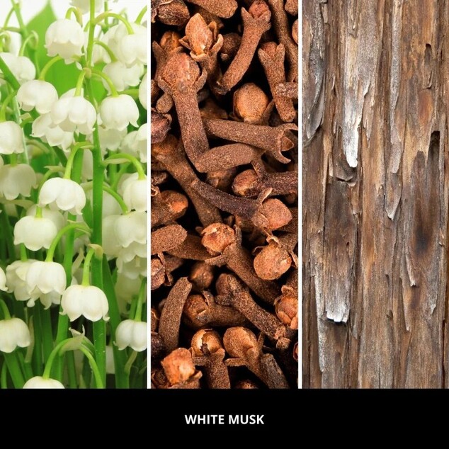 MF Autoduft Icon Textil Kreise Mehrfarbig / White Musk