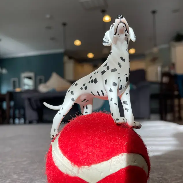 Safari® Dalmata Kutya