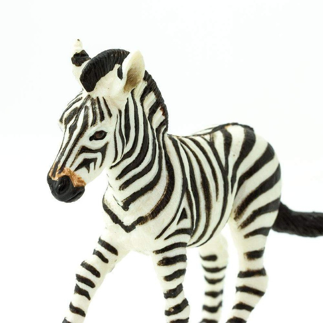 Safari® Mláďa zebry