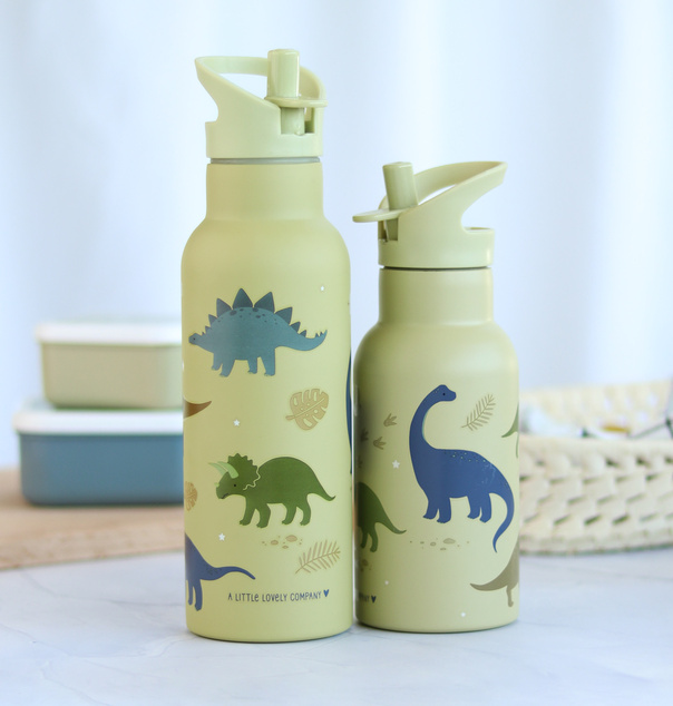 A Little Lovely Company - nerezová fľaša na pitie, 500 ml - dinosaury