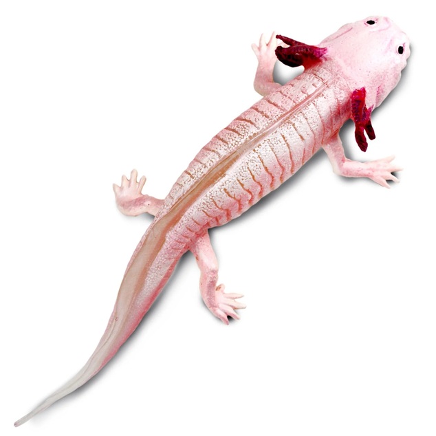 Safari® Axolotl mexický