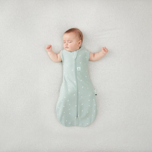 ERGOPOUCH Envoltorio y saco de dormir 2 en 1 Cocoon Sage 3-6 m, 6-8 kg, 1 tog