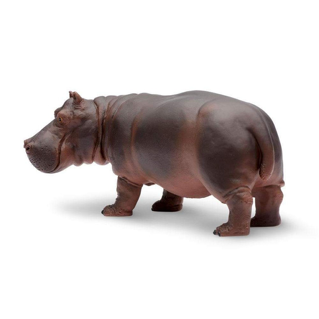 Safari® Hroch