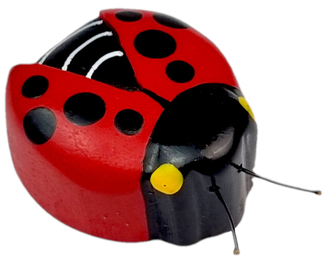 2Kids Toys Drevená magnetka veľká Lienka