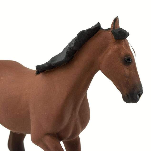 Safari® Plnokrvník kôň