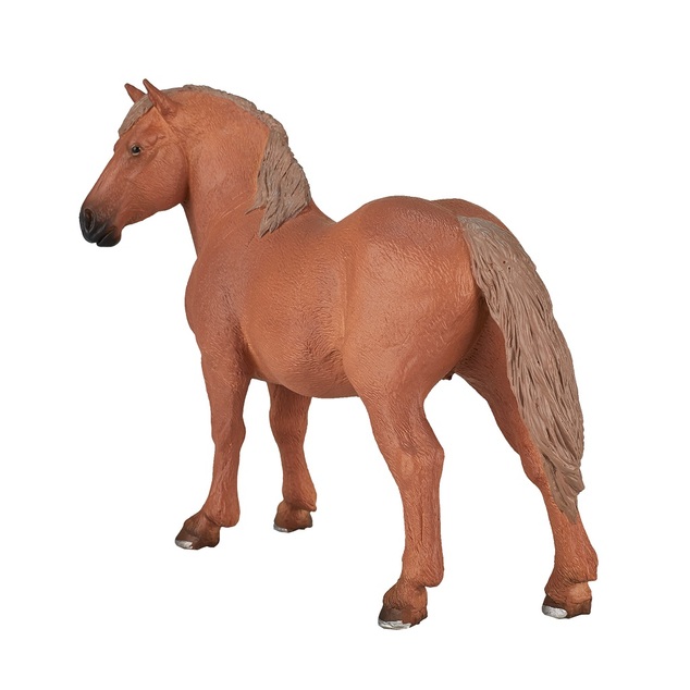 Mojo Suffolk punch kobyla