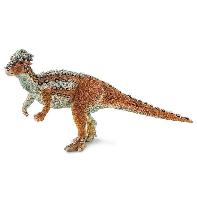 Safari® Pachycephalosaurus dinosaurus