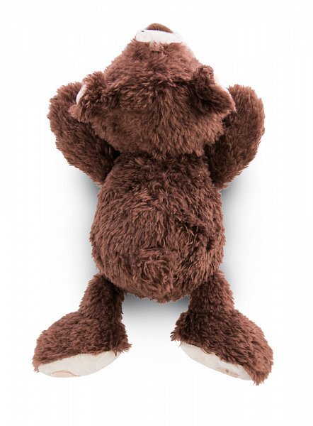 NICI Plüsch Braunbär liegend, 20 cm (öko-grün)