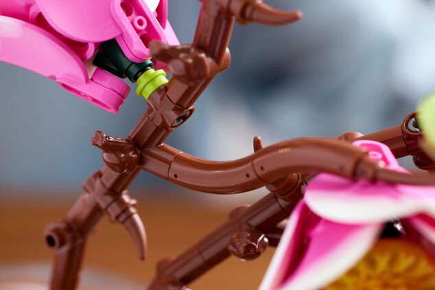 LEGO® Botanicals 11510 Vetvičky magnólie