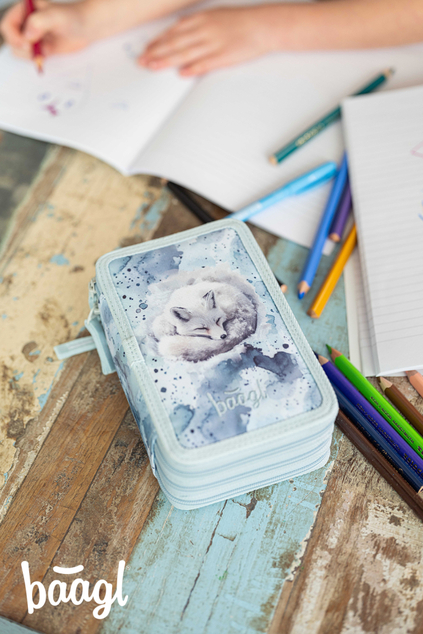 BAAGL Trousse scolaire à trois étages Polar GRS
