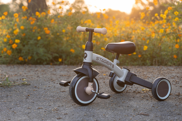 QPLAY Triciclo Stager 3 in 1 Platinum, 2-6 anni