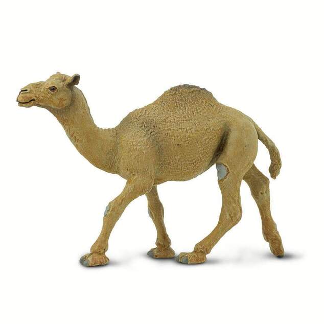 Safari® Ťava Jednohrbá