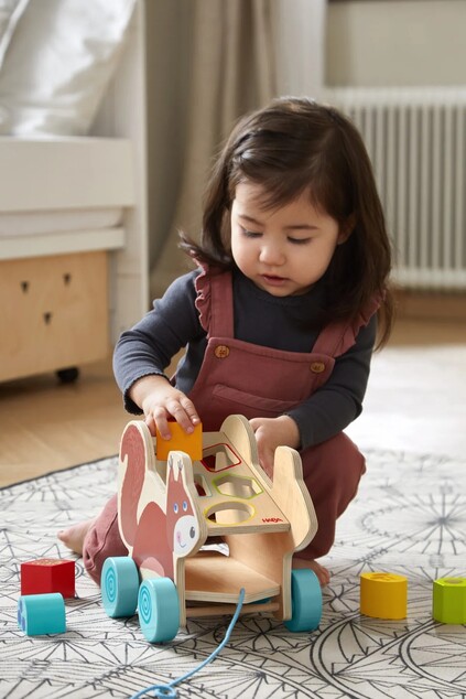 Haba  Ťahacia hračka s vkladacími tvarmi - veverička