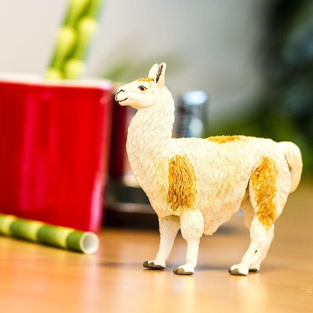 Safari® Lama