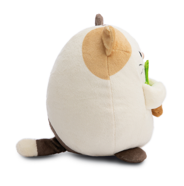 NICI plyš MyMochi Mačička Angy 27 cm s kaktusom