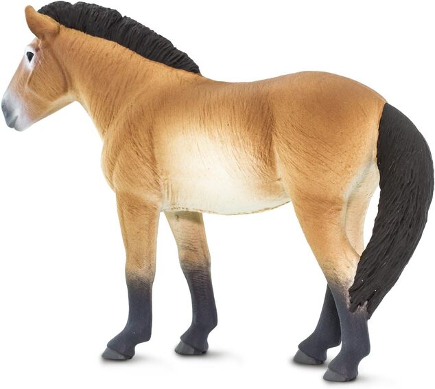Safari® Kôň Przewalského