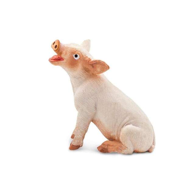 Safari® Mláďa ošípanej