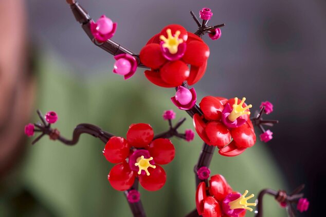 LEGO® Botanicals 10369 Marhuľa japonská