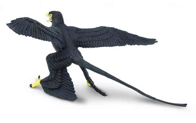 Safari® Microraptor dinosaurus