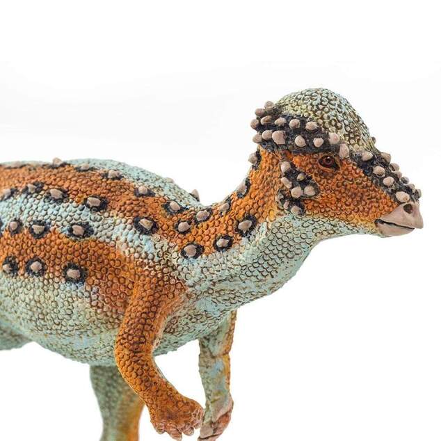 Safari® Pachycephalosaurus dinosaurus