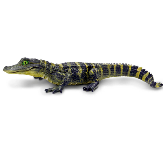 Safari® Alligator mláďa