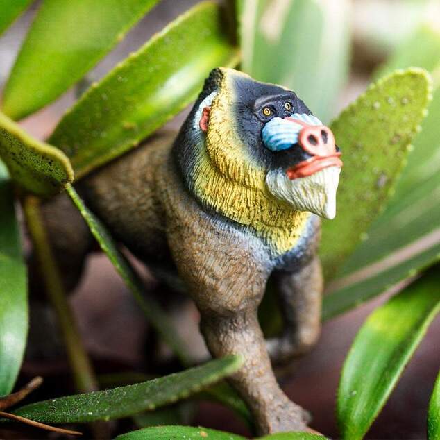 Safari® Mandril