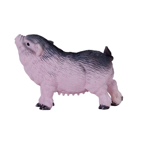Moje prasátko je chlupaté.