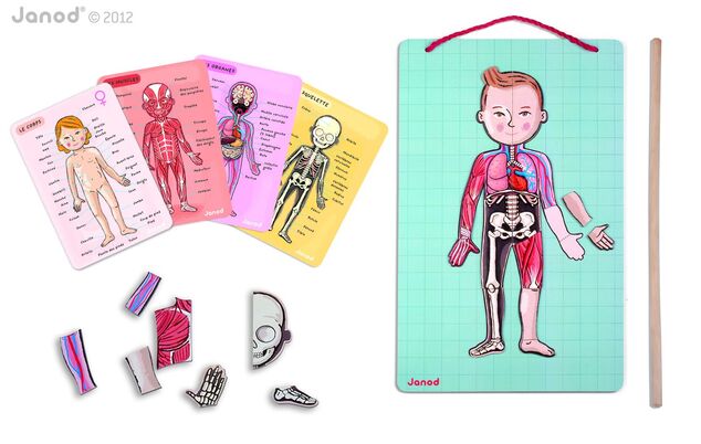 Janod Magnetischer menschlicher Körper Bodymagnet Puzzle mit Tafel zum Aufhängen