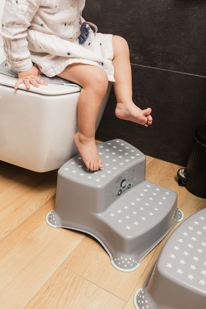 Dvojstupienok k WC/umývadlu "Racer", Grey/Mint