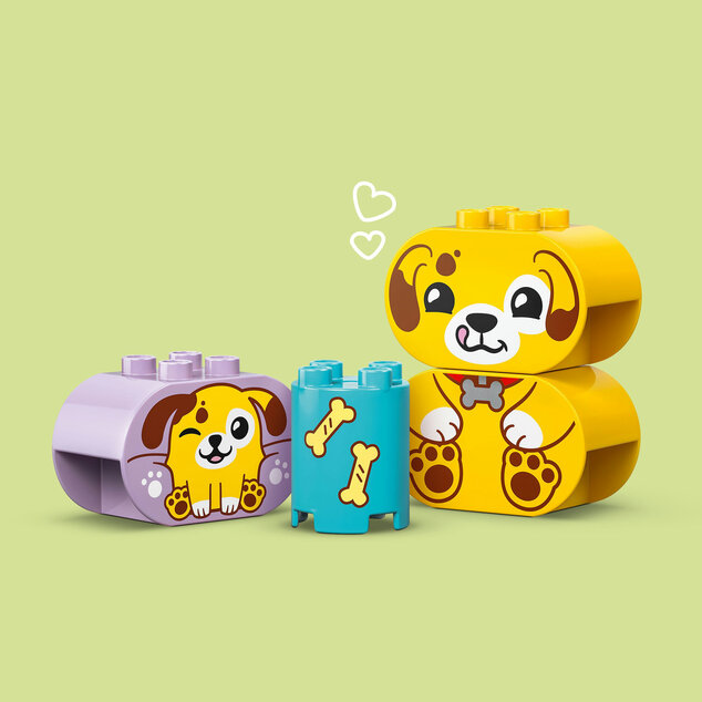 LEGO® DUPLO® 10441 Triedenie tvarov: Domček pre šteniatka