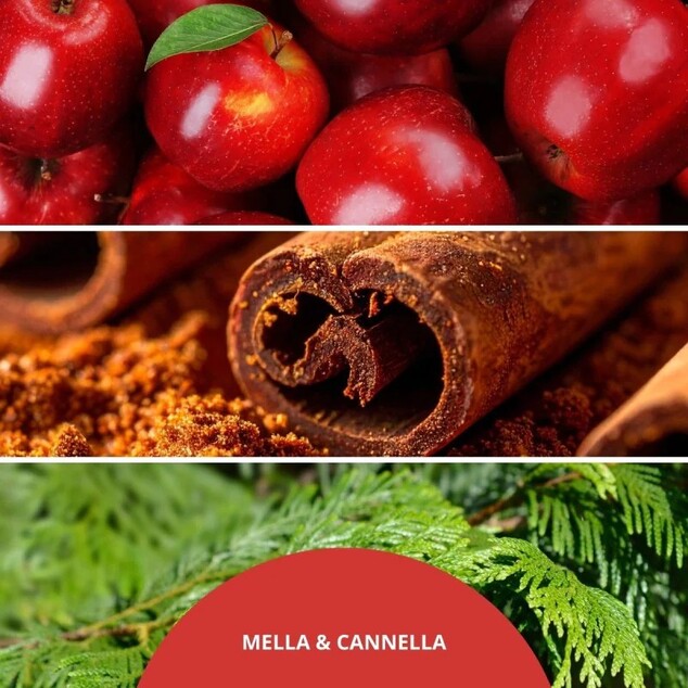 MF Milano Diffusor 250ml Mela &amp; Cannella