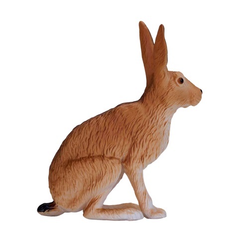 Mein sitzender Hase