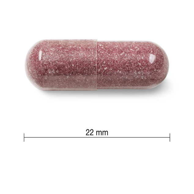 Jamieson brusnica - kompleks 500mg 60 kapsula