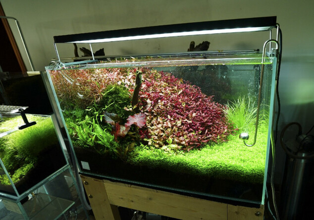 Chihiros LED WRGB II 120 130W 120-140cm s kontrolérom