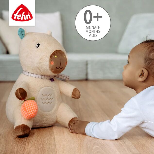 Capybara câline XL