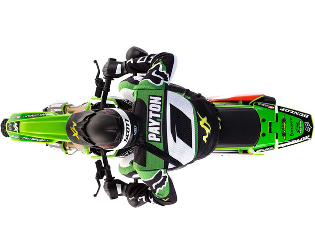 Losi Promoto-MX 1:4 RTR Pro Circuit