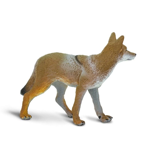 Safari® Kojot