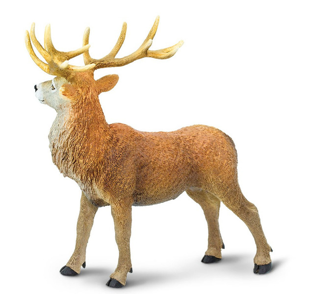 Safari® Jeleň červený