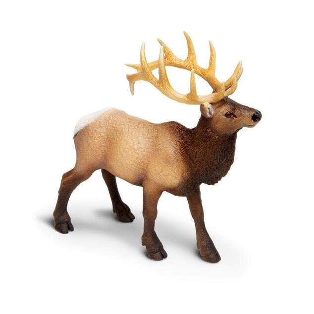 Safari® Weißwedelhirsch
