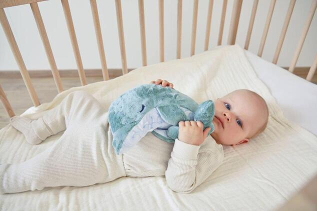 Kaloo Petit Calme Plüss delfin levendulapárnával a jobb alvásért 15 cm