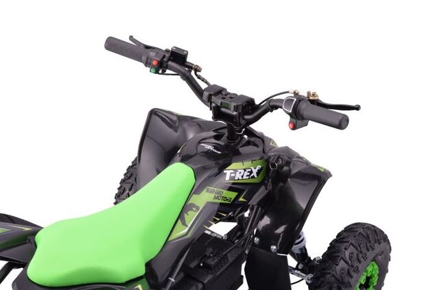 Elektrisches Kinder-Quad Beneo Motors T-REX grün - 1300W