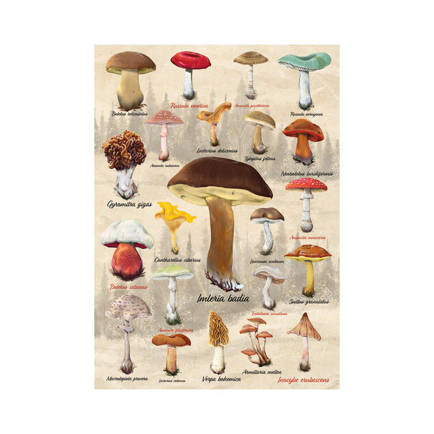 Puzzle Huby koláž 1000 dielikov