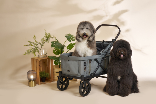 FIKAGO Kinderwagen Kross Green