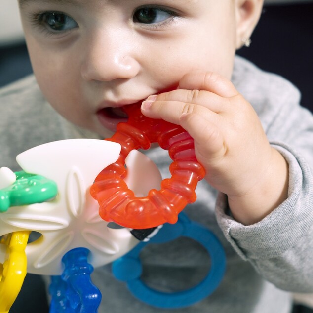 BABY EINSTEIN Ocean Explorers Sea of Sensory™ 3m+ Beißring