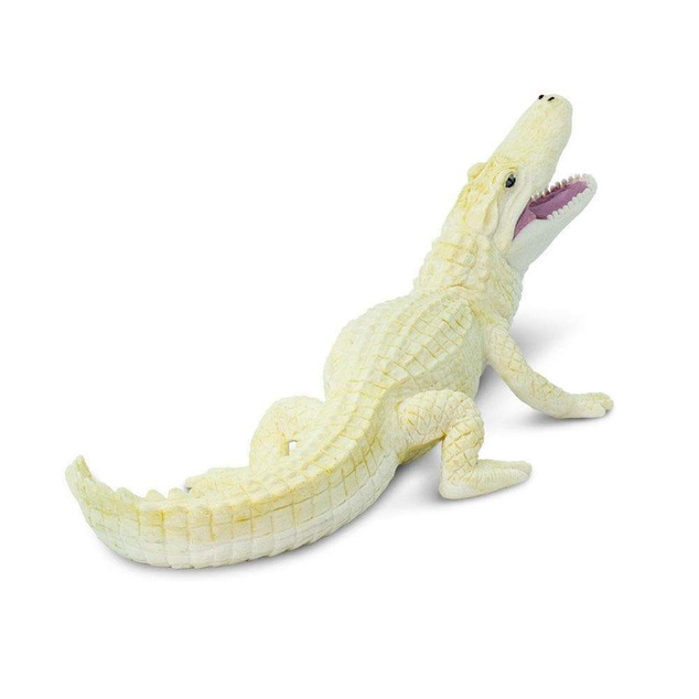 Safari® Aligator alb