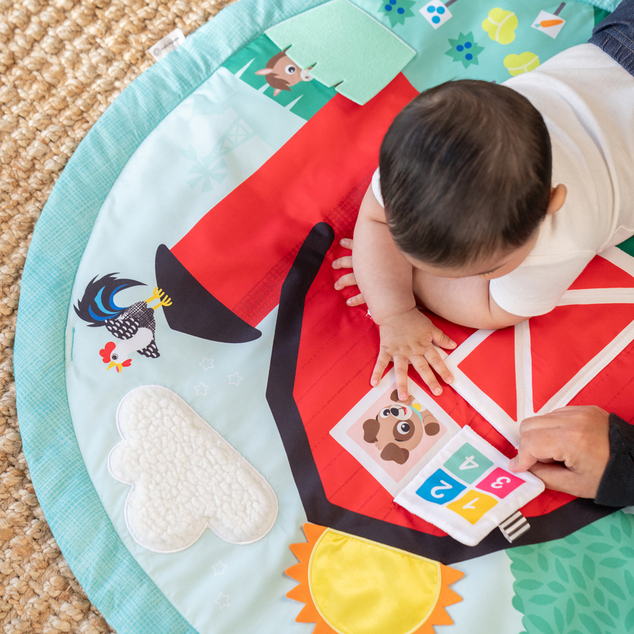 BABY EINSTEIN Tapis de jeu Happy Harvest™ Touch &amp; Feel, 0m