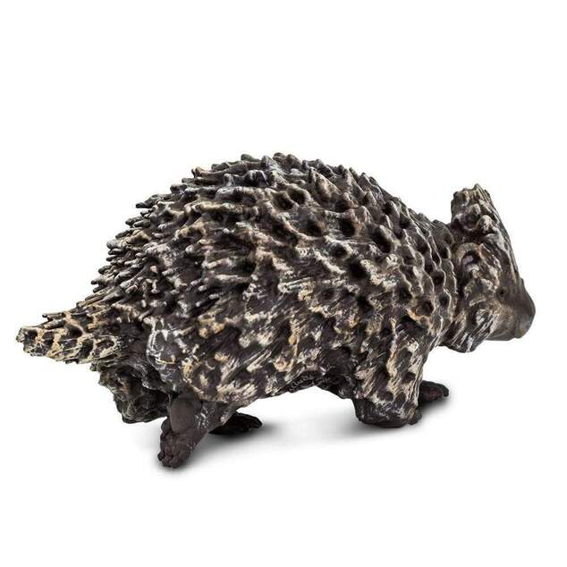 Safari® Equidna