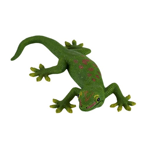 Meu Gekon