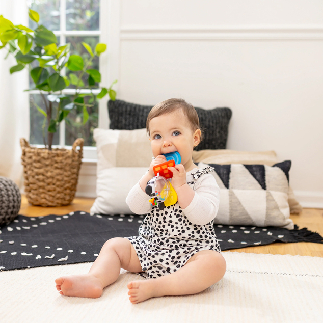 BABY EINSTEIN Hryzačka s hrkálkou zebra Zen™ Shake-a-Shape bez BPA 0m+